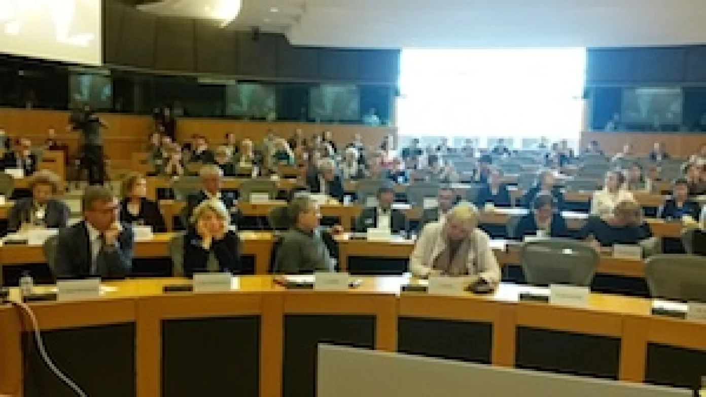 image_pub_res_intervento_bruxelles_3_giugno.jpg