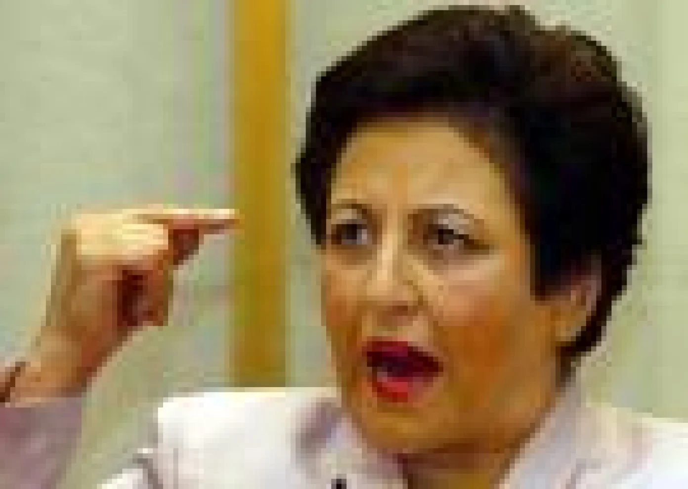 img_1354_lettera_del_premio_nobel_shirin_ebadi_alla_fondazione_alexander_langer.jpg
